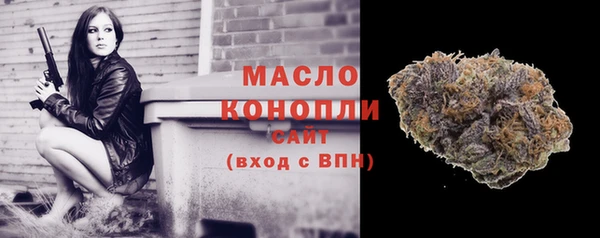 МДПВ Богородск