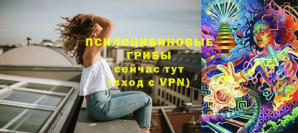 метадон Богданович