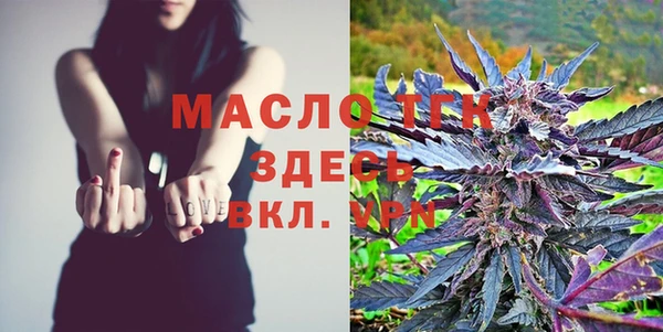 метадон Богданович