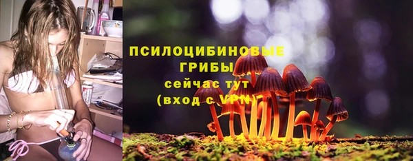 индика Бородино