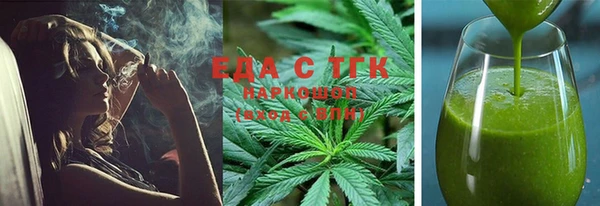 индика Бородино