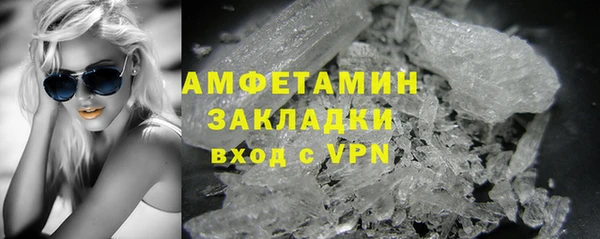 метадон Богданович