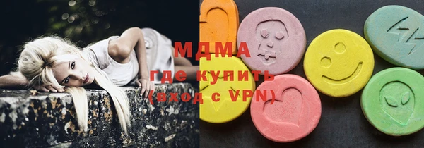 индика Бородино
