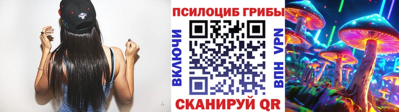 Купить закладки  Приморск  Галлюциногенные грибы Magic Shrooms 